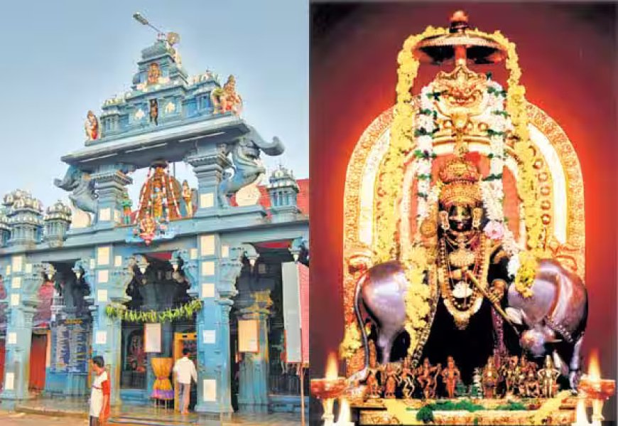 உடுப்பி கிருஷ்ணர்.