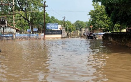 சாலையில் தேங்கி நிற்கும் மழைநீர்.,  தனித்து விடப்பட்டதா தூத்துக்குடி, மாப்பிள்ளையூரணி ஊராட்சி பகுதி?