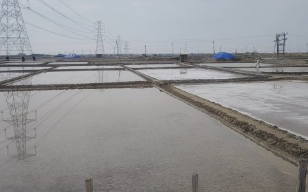 கப்பல் கட்டு தளம் வந்தால் தூத்துக்குடி மக்களுக்கு பாதிப்பு? உப்பு உற்பத்தியாளர்கள், தொழிலாளர்கள் கூறுவது என்ன.!