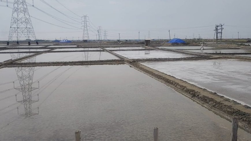 கப்பல் கட்டு தளம் வந்தால் தூத்துக்குடி மக்களுக்கு பாதிப்பு? உப்பு உற்பத்தியாளர்கள், தொழிலாளர்கள் கூறுவது என்ன.!