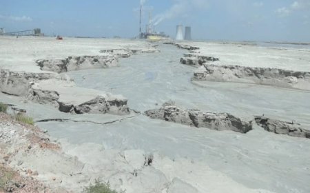 என்.டி.பி.எல் அனல் மின் நிலைய சாம்பல் கழிவால் கடல்வளம் பாதிப்பு.!