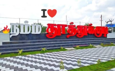 “முயல் வேகத்தில் திமுக… ஆமை வேகத்தில் அதிமுக… GPS வைத்து தேடும் நிலையில் நாம் தமிழர்!”