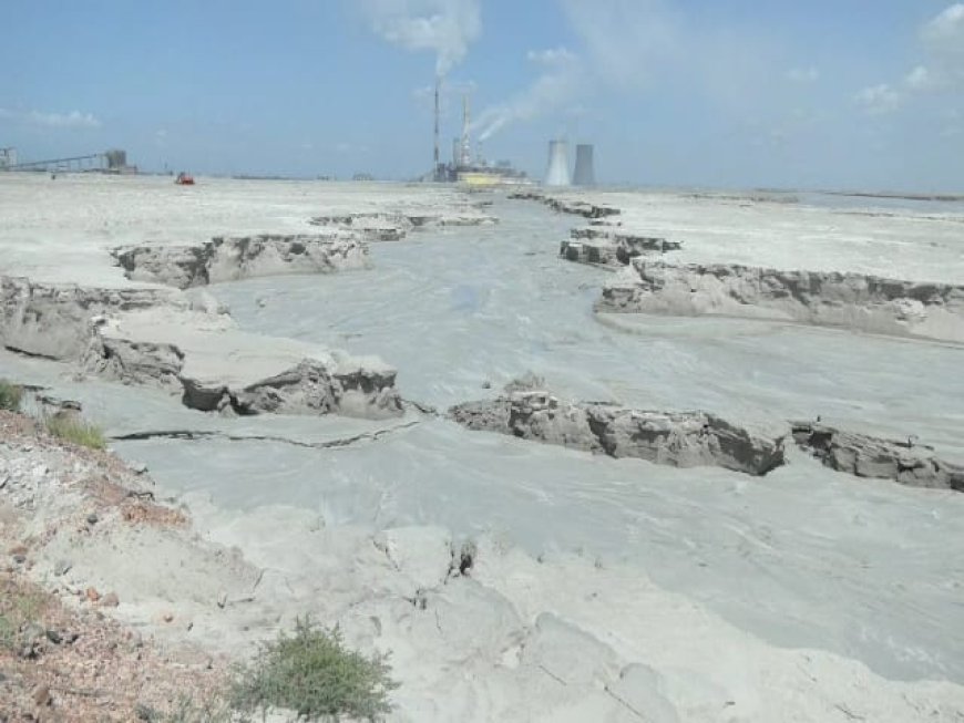 என்.டி.பி.எல் அனல் மின் நிலைய சாம்பல் கழிவால் கடல்வளம் பாதிப்பு.!