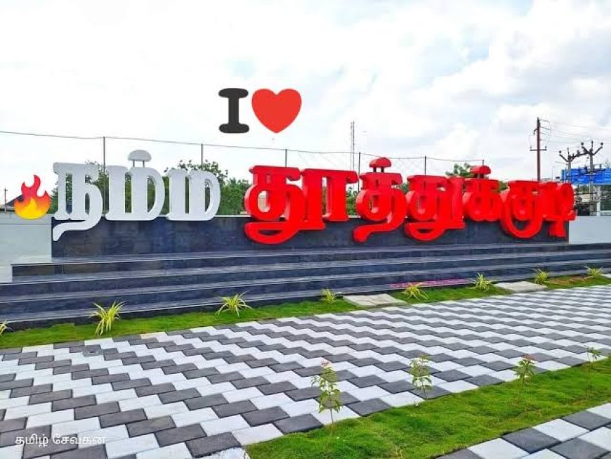 “முயல் வேகத்தில் திமுக… ஆமை வேகத்தில் அதிமுக… GPS வைத்து தேடும் நிலையில் நாம் தமிழர்!”