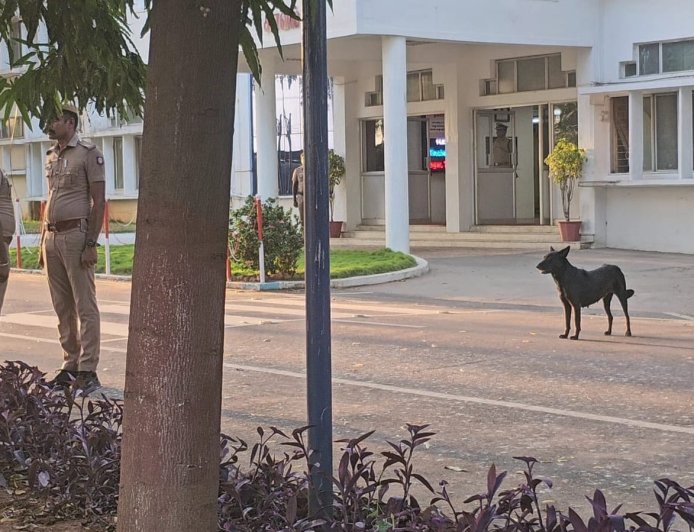 தூத்துக்குடியில் மனதை நெகிழச் செய்த நிகழ்வு – தேசியக் கொடி மரியாதையில் நின்ற நாய்க்குட்டி.!