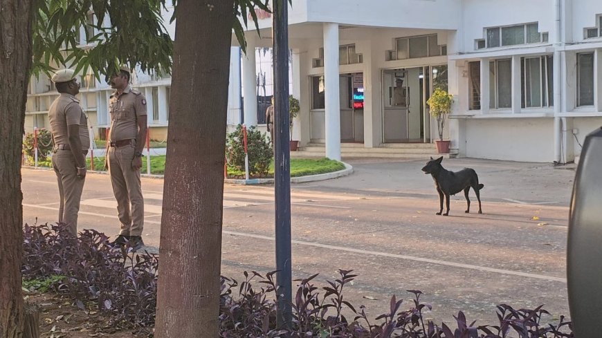 தூத்துக்குடியில் மனதை நெகிழச் செய்த நிகழ்வு – தேசியக் கொடி மரியாதையில் நின்ற நாய்க்குட்டி.!