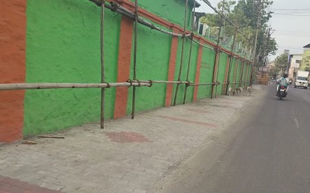 பனிமய மாதா திருவிழா டிஜிட்டல் போர்டுக்கு தடை.?