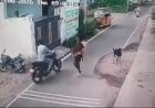 தூத்துக்குடியில் பட்டப்பகலில் ஆடு திருட்டு!