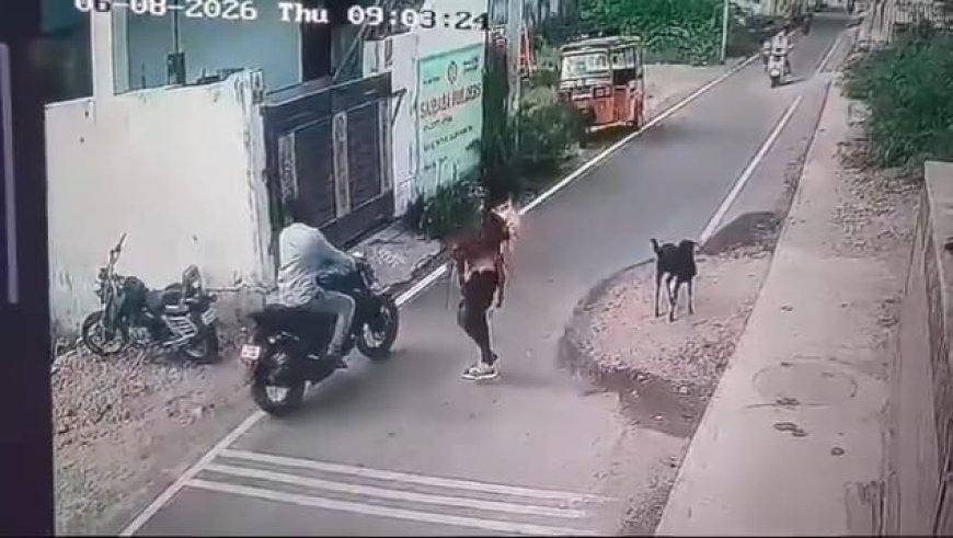தூத்துக்குடியில் பட்டப்பகலில் ஆடு திருட்டு!